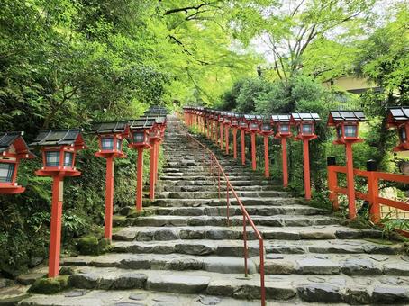 新緑の貴船神社 新緑の貴船神社 貴船,貴船神社,京都の写真素材