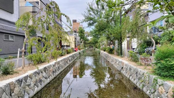 京都 川 京都 川 京都,川,高瀬川の写真素材