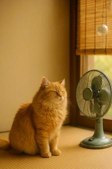 扇風機の風に涼む茶トラ猫 扇風機の風に涼む茶トラ猫の写真