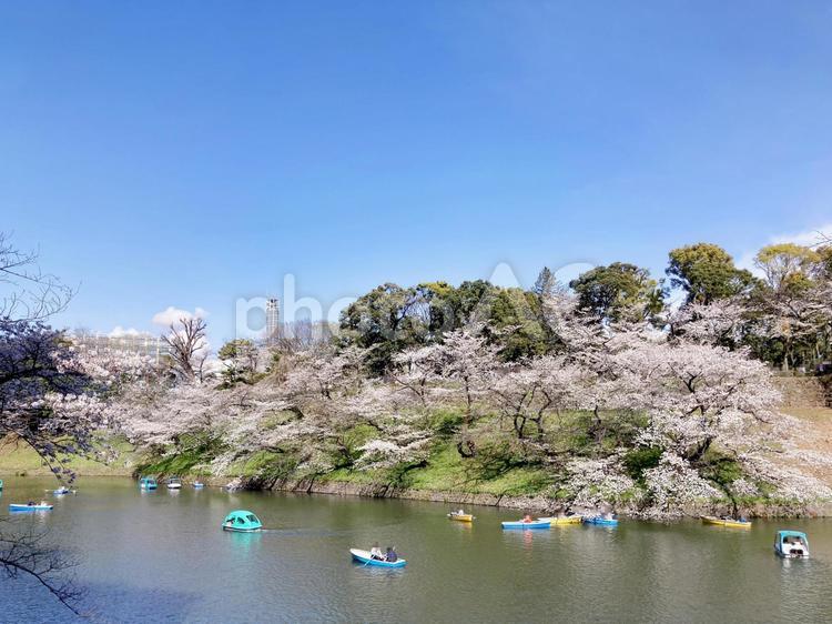 東京風景・千鳥ヶ淵 千鳥ヶ淵,千鳥ケ淵,堀の写真素材