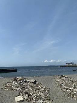 流木が打ち上げられた静かな海岸 流木が打ち上げられた静かな海岸の写真