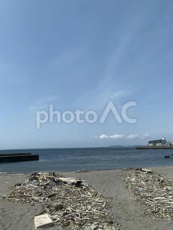 流木が打ち上げられた静かな海岸 海岸,流木,砂浜の写真素材