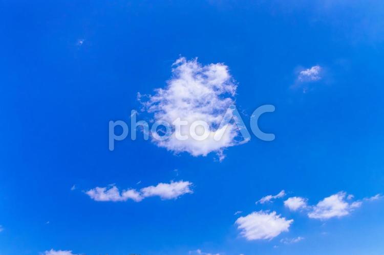 5月の青空と雲 青空,空,雲の写真素材