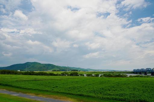 河川敷の風景⑵ 河川敷の風景⑵の写真