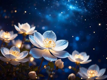 光る花 光る花の写真