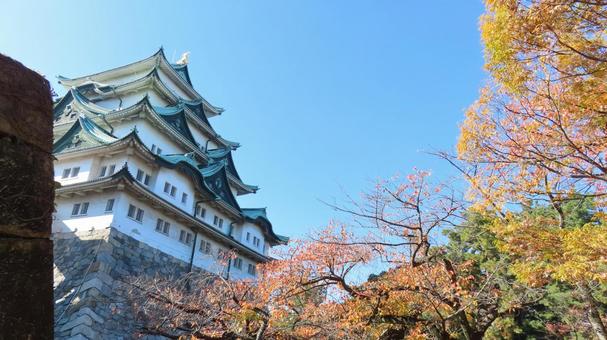 名古屋城　天守　紅葉 名古屋城,尾張徳川家,御三家の写真素材