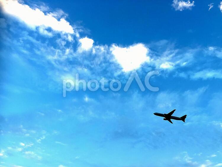 飛行機のシルエットのある青空 飛行機,青空,空の写真素材
