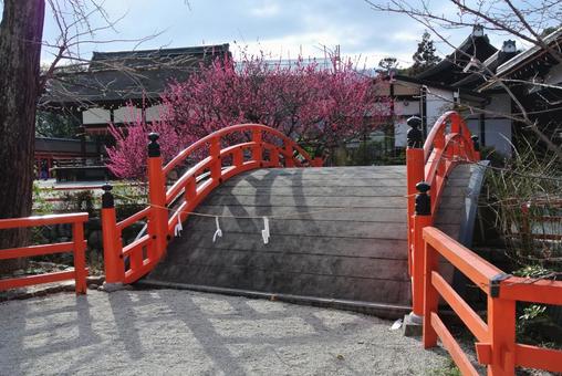 下鴨神社 輪橋 下鴨神社 輪橋の写真