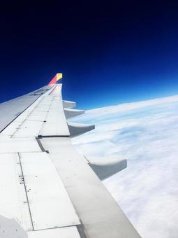 飛行機 飛行機の写真