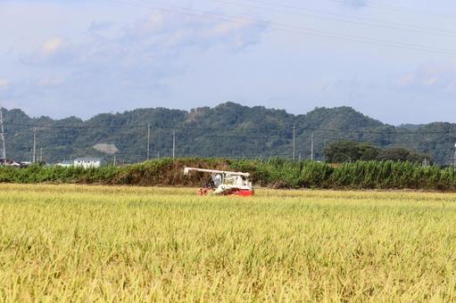 秋の空の下で刈り入れに励むコンバイン 秋の空の下で刈り入れに励むコンバイン コンバイン,稲刈り,刈り入れの写真素材