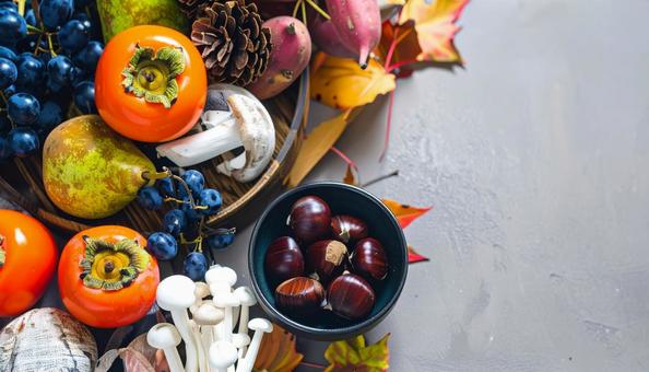 秋の味覚の収穫イメージの写真