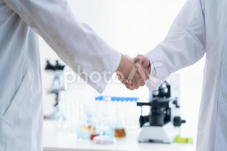 研究所で握手をする研究者 握手,研究,科学の写真素材