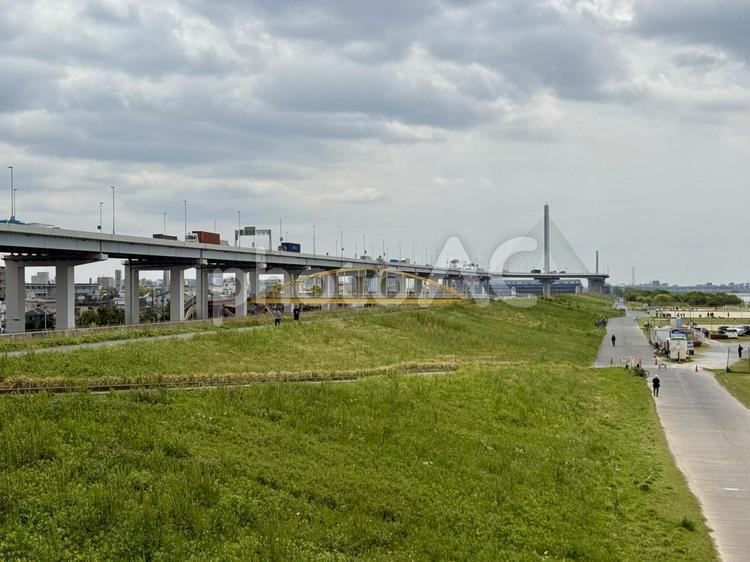 曇り空　春の荒川の河川敷 四つ木,春,原っぱの写真素材