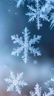雪の結晶 マクロ クローズアップ 雪の結晶 マクロ クローズアップの写真