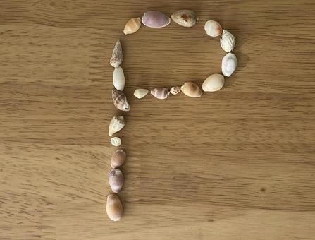 貝殻　アルファベット　P 貝殻,p,文字の写真素材