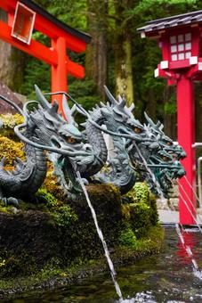 箱根神社 箱根神社の写真