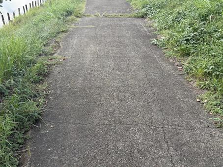 道 道,草,外の写真素材