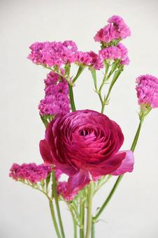 ラナンキュラスとスターチスの写真