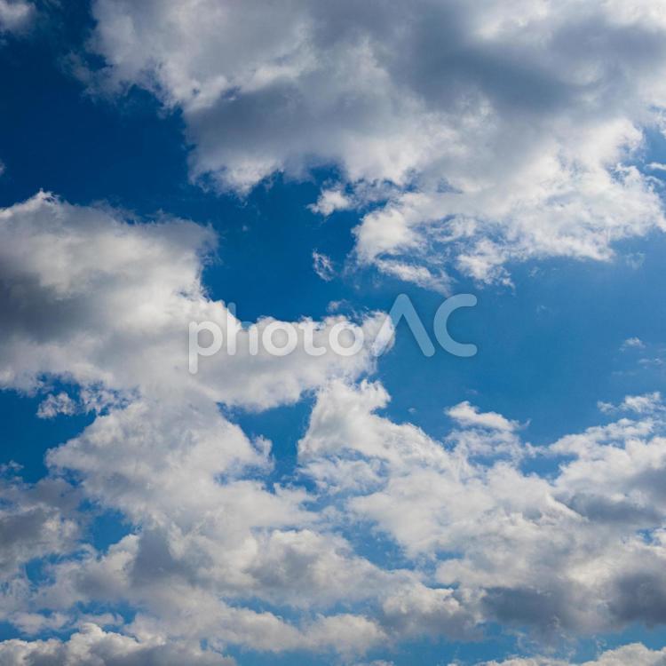 美しい青空と白い雲のスクエア背景素材 空,青空,雲の写真素材