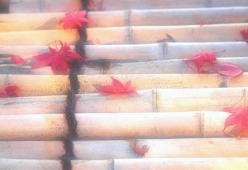 晩秋背景3 晩秋背景3の写真