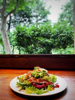 緑の見えるおしゃれカフェのランチサラダ 緑の見えるおしゃれカフェのランチサラダ ランチ,カフェ,イタリアンの写真素材