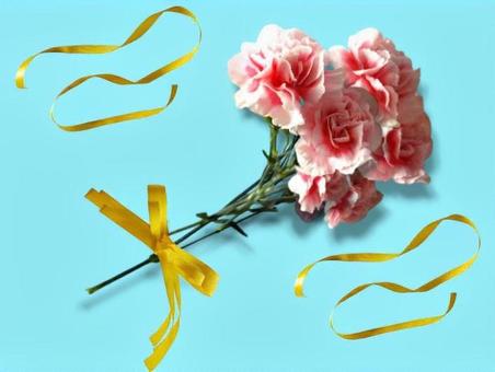 カーネーション カーネーション,花,花束の写真素材