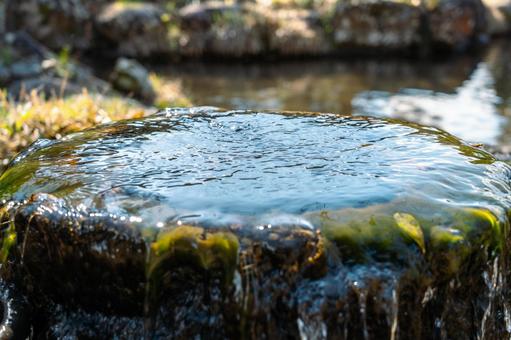 森の湧き水 森の湧き水の写真
