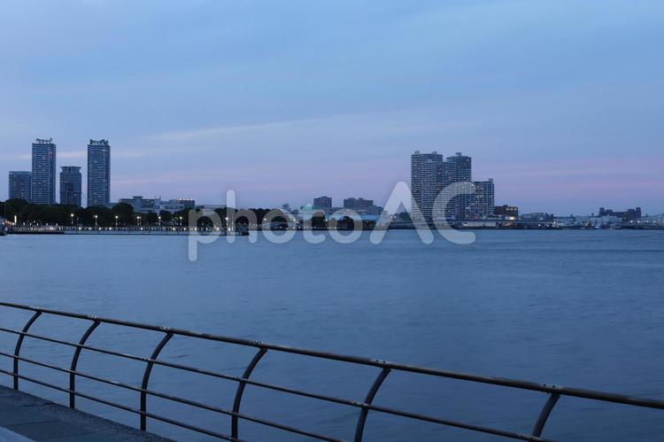 みなとみらいの夜景 ビル,建物,光の写真素材