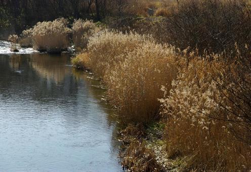 冬の一日 冬の一日の写真