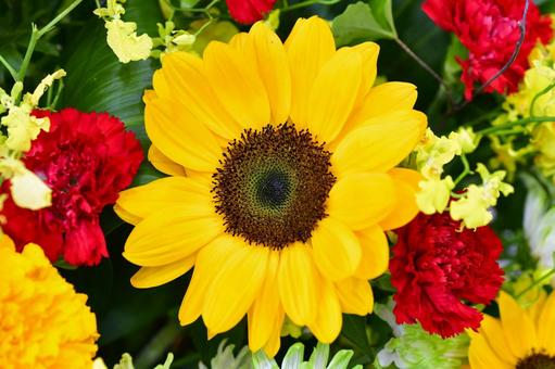 ヒマワリやカーネーションなど ヒマワリ,フラワー,きれいの写真素材