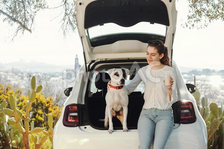 車のトランクに座ってコーヒーを持っている女性と犬2 女性,犬,愛犬の写真素材