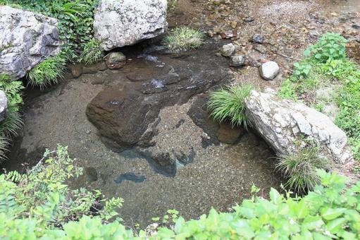 川のせせらぎ 川のせせらぎの写真