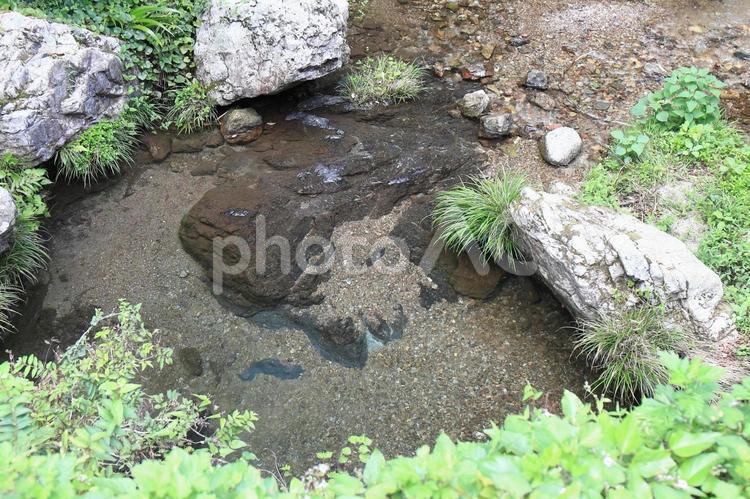 川のせせらぎ 夏,川遊び,安全の写真素材