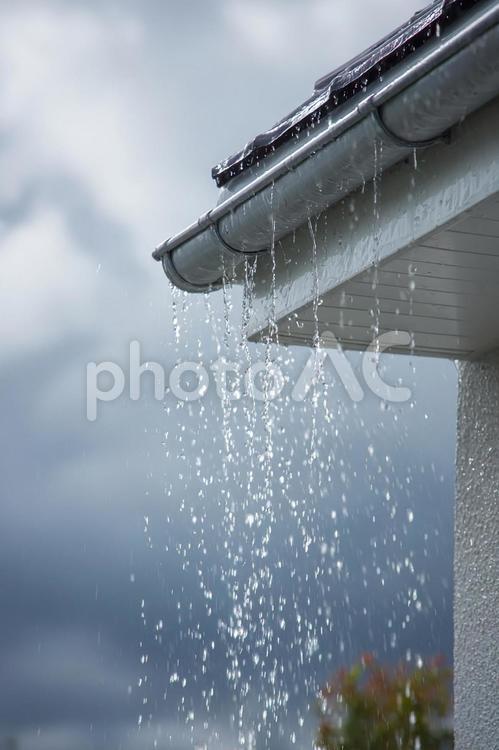 雨水が滴る屋根の軒先 雨,雨樋,屋根の写真素材