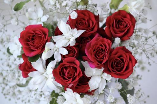 赤いバラとホワイトブーケ 花,クリスマス,赤の写真素材
