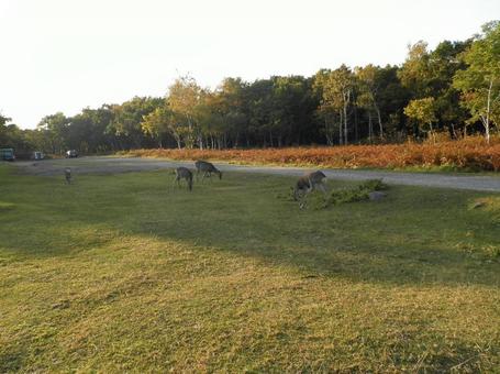 知床国立公園 知床国立公園の写真
