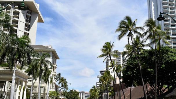 青空にヤシが並ぶカラカウア通り 青空にヤシが並ぶカラカウア通りの写真