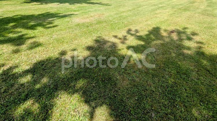 木漏れ日の影、夏の芝生 芝生,影,木陰の写真素材