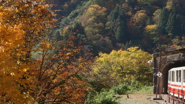 黒部峡谷に秋を訪ねて 秋,風景,自然の写真素材