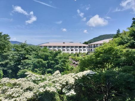 箱根ロープウェイ姥子駅から　北側の眺め 箱根ロープウェイ,姥子駅,観光の写真素材