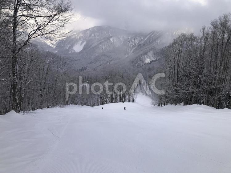 ゲレンデ風景　白馬岩岳スキー場　白馬村 ゲレンデ,白馬村,長野県の写真素材