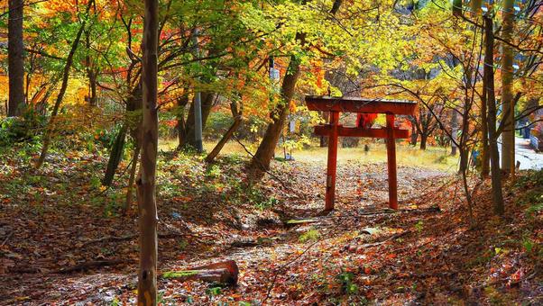 榛名山の紅葉 紅葉,アウトドア,登山の写真素材