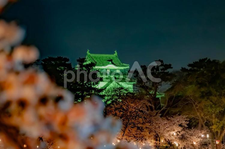岡崎城と桜 岡崎城,桜,さくらの写真素材