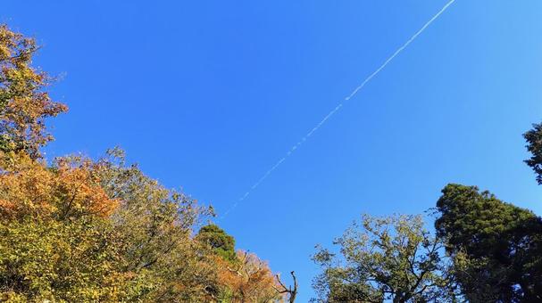 秋空に飛行機雲 秋空に飛行機雲 秋空,青空,飛行機雲の写真素材