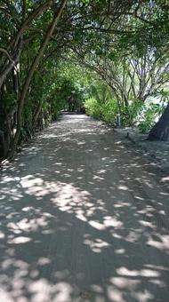 浜辺 浜辺の写真