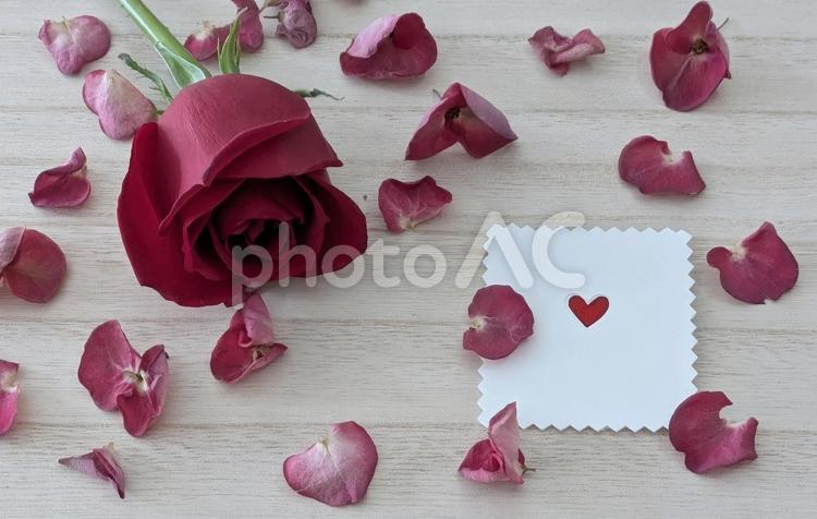 薔薇とメッセージカード 薔薇,メッセージカード,プレゼントの写真素材