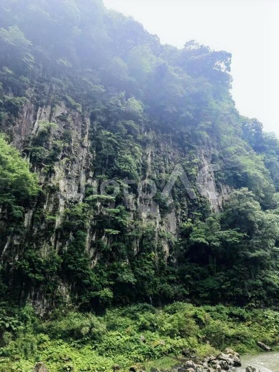 迫力ある断崖と緑豊かな風景 断崖,崖,岩壁の写真素材