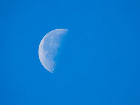 昼に見える月 月,天体,空の写真素材