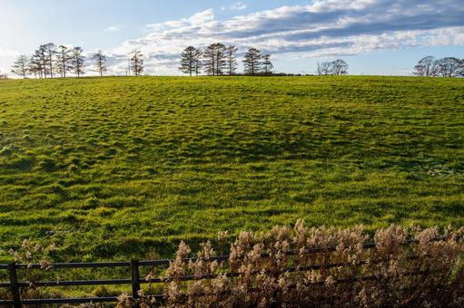 柔らかな光を浴びる広大な午後の牧草地 丘,黄金色,青空の写真素材