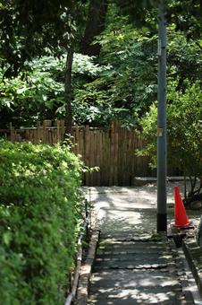 小道 小道 道,木漏れ日,まっすぐの写真素材